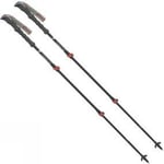 "Ambleside C66 Carbon Trekking Pole (Pair)"