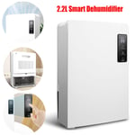 2.2L Electric Dehumidifier Portable for Home Condensation Moisture Damp Quiet
