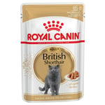 Royal Canin British Shorthair Adult i saus - 48 x 85 g