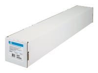 Hp Professional Satin Photo Paper - Satin - 11,3 Mil - Rulle A1 (61,0 Cm X 15,2 M) - 300 G/M² - 1 Rulle (Rullar) Fotopapper - För Designjet 130, 130Gp, 130Nr, 4000, 4000Ps, Z2100, Z3100, Z3200, Z6100, Z6100ps