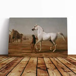 Big Box Art Canvas Print Wall Art Jacques-Laurent Agasse The Wellesley Grey Arabian | Mounted & Stretched Framed Picture | Home Decor for Kitchen, Living Room, Bedroom, Multi-Colour, 30x20 Inch