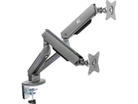 Nanors 2-Fold Gaming Monitor Mount 17-32 Med Justerbar Rgb Led-Bakgrundsbelysning Desktop Mount Höjdjustering Lutning Svängning Max 9Kg Vesa 75X75 / 100X100
