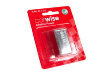 Alkaliskt batteri Carwise