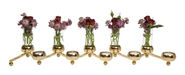 Constella Glasinsats 5-Pack
