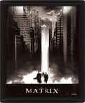 Pan Vision The Matrix 3D-plakat (Lightfall)