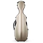 Eastman CAVL30 Gold 4/4 Violin etui