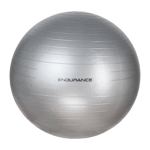 ENDURANCE Gym Ball, 55 cm, 1 stk.