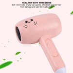 (Pink)1000w Mini Hair Dryer Blow Dryer Electric Hair Drying Tool SLS