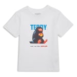 Fantastic Beasts Teddy Kids' T-Shirt - White - 3-4 Years