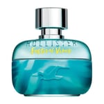 Hollister Festival Vibes for him Eau de Toilette 100 ml