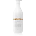 Milk Shake Normalizing Blend Shampoo Fra normal til fedtet hår Sulfatfri 1000 ml
