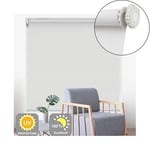 KTDT Blackout Roller Shades Living Room Office Waterproof Oil-proof Coating Light Control Panel Home Decoration Thermal Roller Blinds For Windows,48 Size (Color : White, Size : 135x210cm)
