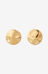 Edblad - Örhängen Flowy Studs - Guld
