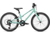 Specialized Specialized Jett 20 | Gloss Oasis / Forest Green (Turkos)