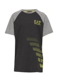 EA7 T-Shirt T-shirts Short-sleeved Grå [Color: CARBON MELANGE ][Sex: Kids ][Sizes: 128,140 ]