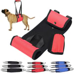 Dog Lift Support Harness Lifting Assist Go Up Sling For Mobility& Rehabilitation