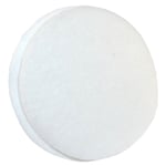 Post-Motor Filter Pad for Dyson DC04 Brush Control, DC05, DC20, DC29 Origin