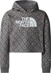 The North Face The North Face G Drew Peak Light Hoodie Print Smoked Pearl TNF Shadow S, Smoked Pearl Tnf Shadow