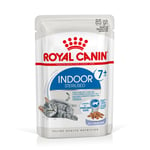 Royal Canin Indoor Sterilised 7+ i gelè - 96 x 85 g