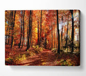 Fall Forest Path Canvas Print Wall Art - Double XL 40 x 56 Inches