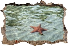 pixxp Rint 3D WD s1179 _ 92 x 62 étoile de mer Rouge dans de l'eau Plat Mural percée 3D Sticker Mural, Vinyle, Multicolore, 92 x 62 x 0,02 cm