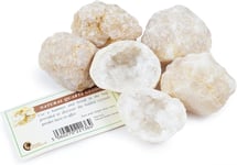 Break Your Own Geodes - Great for Party Bags (Pack of 5)