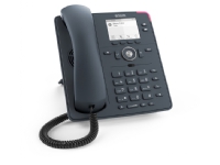 Snom D150, IP-telefon, Grå, Trådbunden telefonlur, Skrivbord/vägg, Linux, 2 linjer