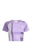 T-Shirt Sport Crop Tops Short-sleeved Crop Tops Purple Adidas Originals