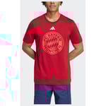 adidas Fc Bayern Dna Graphic T-shirt, storlek Small
