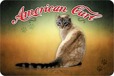 Schatzmix American Curl Plaque métallique décorative en Forme de Chat 20 x 30 cm