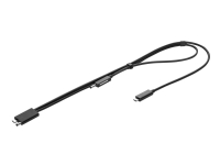 HP Combo - Thunderbolt-kabel - 70 cm - svart