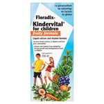 Floradix New Improved Kindervital for Children Fruity Formula 250ml-4 Pack