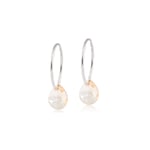 Blomdahl Örhängen NT Drop 8 mm & Ring 14 mm Golden Shadow 1 par