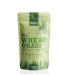 Vitalkost Purasana Wheat Grass