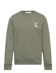 Monogram Cn Sweatshirt Tops Sweat-shirts & Hoodies Sweat-shirts Khaki Green Calvin Klein