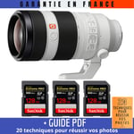 Sony FE 100-400mm f/4.5-5.6 GM OSS + 3 SanDisk 128GB UHS-II 300 MB/s + Guide PDF 20 techniques pour réussir vos photos