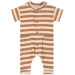 1+ in the family Bodysuit Biscuit | Brun | 9 months