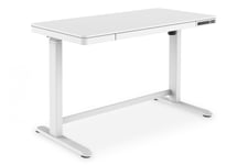 Electric height-adjustable Desk, 120x60x12cm top 50kg load, USB-charging ports, white