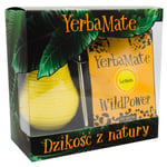 Yerba Maté Kit - Mate Citron, Gul Matékopp och Bombilla