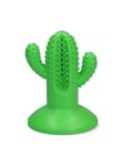 AFP - Dental Cactus Large Green 15cm - (H04198)