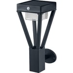 LEDVANCE ENDURA Style Bukett Väggsensor 550lm 6W 830 365 mm svart
