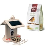 Hobby First - No Mess wildlife 4 kg + Hibirds Smart Bird Feeder with 1080HD camera