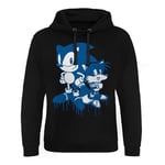 Sonic and Tails Sprayed Epic Hoodie, Hoodie