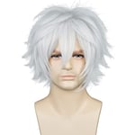 Wekity Unisex Anime Kort Cosplay Peruk med Lugg Värmebeständigt Hår, Silver Vit, wz-1221