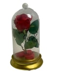 Disney Princess Rose Bell Light In Jar Home Decor Ornaments Love Gift Box
