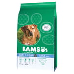 Iams For Vitality Adult Large Breed Dog Food With Fresh Chicken | Dogs