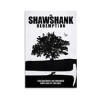 WSDSX 9 The Shawshank Redemption Classic Movies Poster Canvas wall art printing indoor aesthetic Posters for Home Decor 16x24inch(40x60cm)