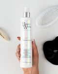 Beauty Works 10-In-1 Miracle Spray - Delivers 10 Benefits for Hair (250ml)