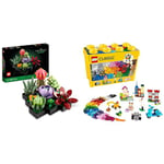 LEGO 10309 Icons Succulents Artificial Plants Set, Creative Hobby, Gift Idea for Her & Him, Flower Bouquet Kit & 10698 Classic Creative Brick Storage Box Set, Building Toys,