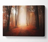 Light From Heaven Canvas Print Wall Art - Double XL 40 x 56 Inches